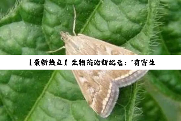 今日科普|kaiyun官方入口: 【最新热点】生物防治新纪元：'有害生物防治员证'引领绿色防控新趋势