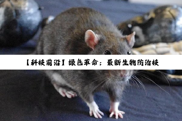 今日科普|【科技前沿】绿色革命：最新生物防治技术有效应对蝗灾挑战