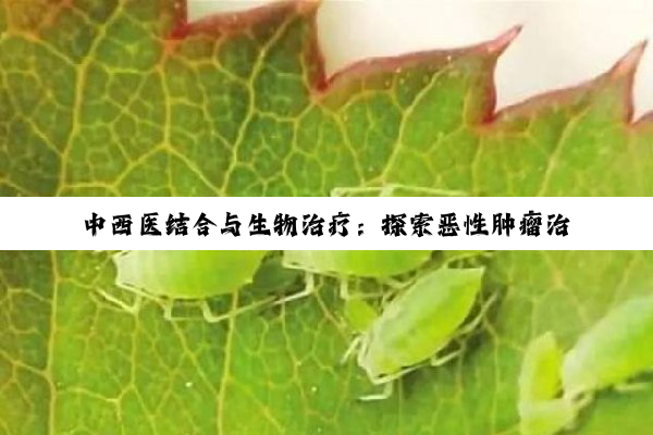 【科普解答】kaiyun官方入口: 中西医结合与生物治疗：探索恶性肿瘤治疗的新希望与深度路径