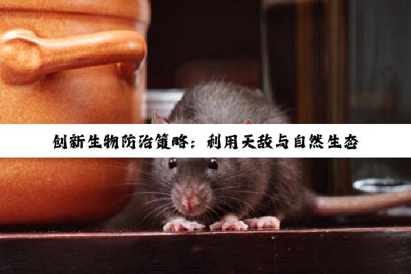 创新生物防治策略：利用天敌与自然生态链有效防控蛇类入侵与危害