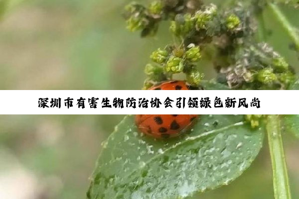 深圳市有害生物防治协会引领绿色新风尚：探索生物防治技术应对城市生态安全最新挑战