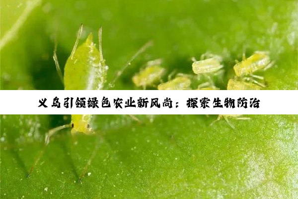 义乌引领绿色农业新风尚：探索生物防治技术在现代农业中的最新应用与成效
