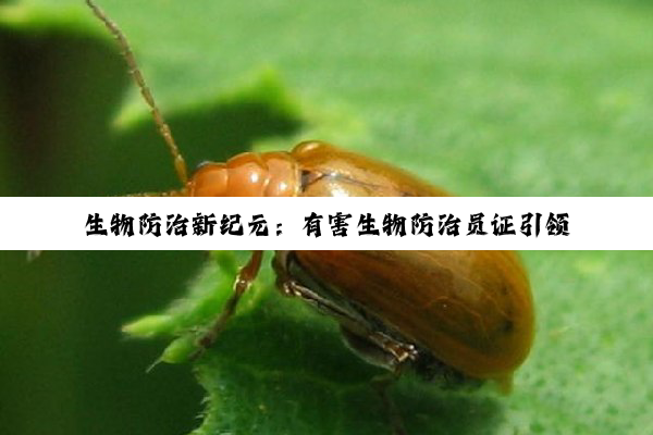 生物防治新纪元：有害生物防治员证引领行业热点与绿色防控新趋势