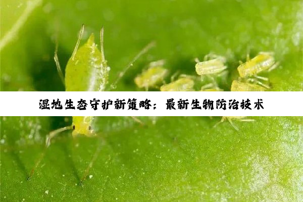 湿地生态守护新策略：最新生物防治技术应对环境挑战与生物多样性保护