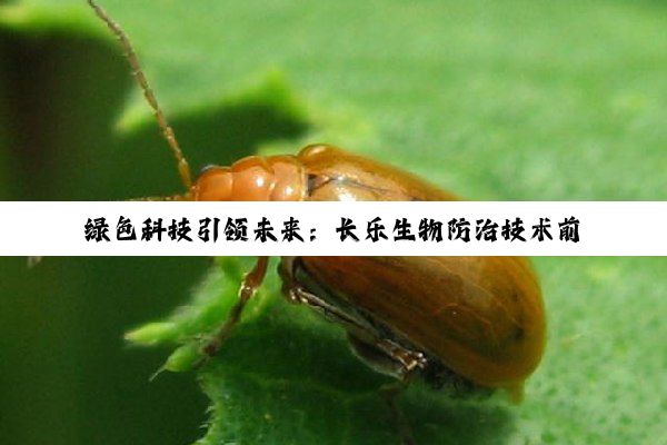 今日科普|绿色科技引领未来：长乐生物防治技术前沿探索与生态保护新热点