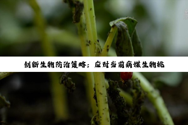 创新生物防治策略：应对当前病媒生物挑战与公共卫生热点