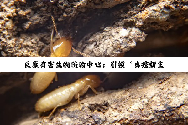 今日科普|开云·kaiyun中国登录入口: 巨康有害生物防治中心：引领‘虫控新主张，生物防治筑健康防线’新热点