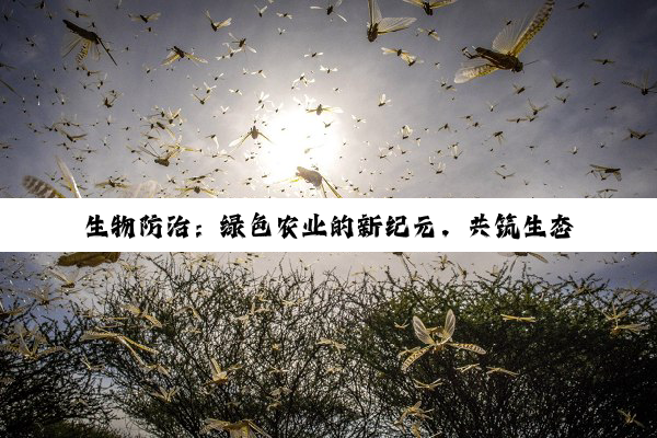 生物防治：绿色农业的新纪元，共筑生态平衡与可持续发展的璀璨篇章
