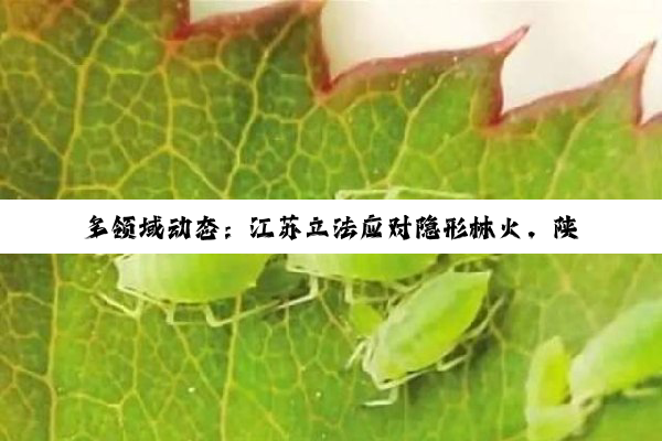 多领域动态：江苏立法应对隐形林火，陕煤资产重组剑指煤电融合，国庆出行预警与股市新...