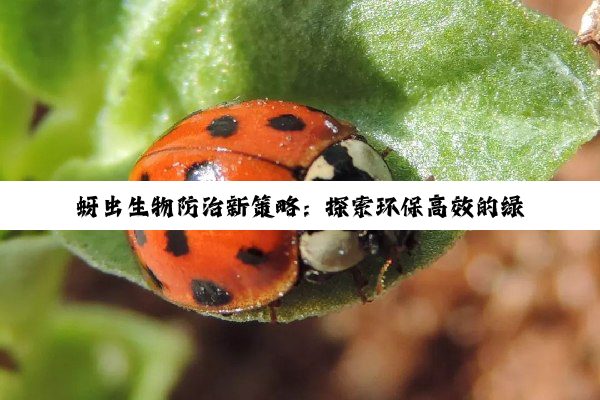蚜虫生物防治新策略：探索环保高效的绿色防控热点