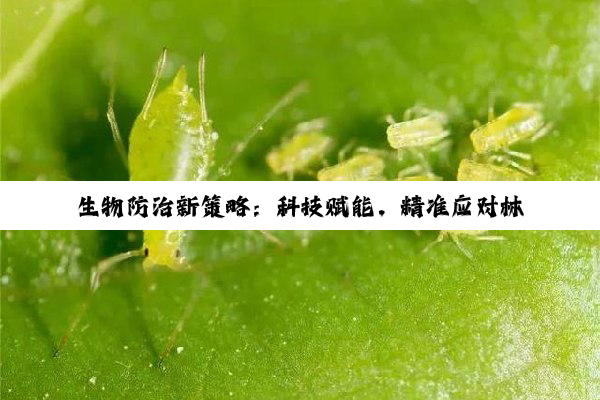 生物防治新策略：科技赋能，精准应对林业有害生物最新挑战