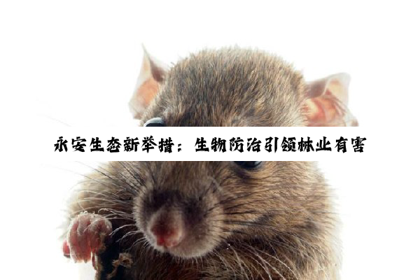 今日科普|永安生态新举措：生物防治引领林业有害生物防控新热点
