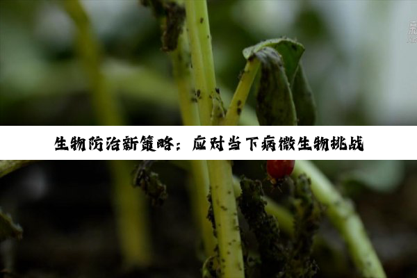 生物防治新策略：应对当下病微生物挑战与最新热点