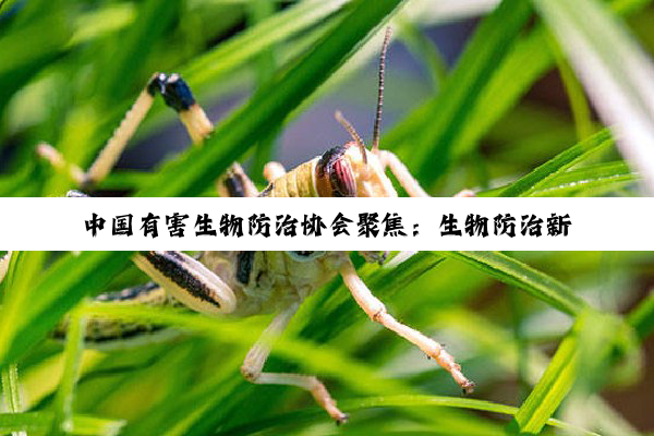 今日科普|中国有害生物防治协会聚焦：生物防治新策略与最新科研热点