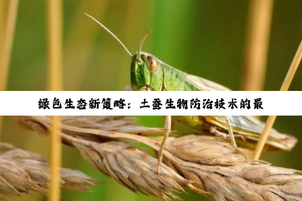 绿色生态新策略：土蚕生物防治技术的最新应用与热点解析