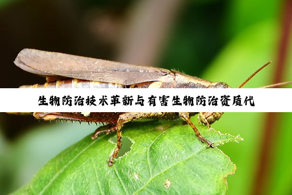 生物防治技术革新与有害生物防治资质代办服务新趋势