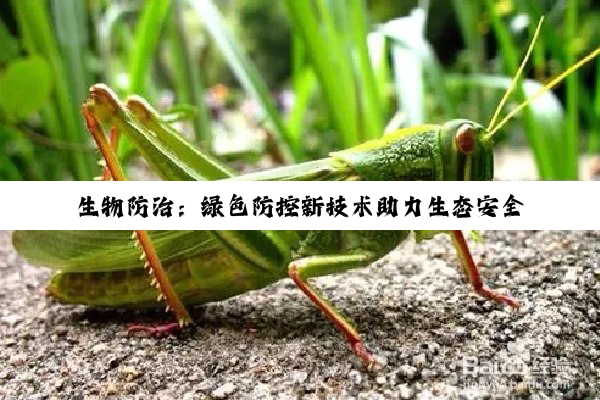 生物防治：绿色防控新技术助力生态安全