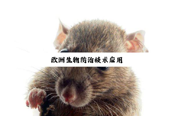 今日科普|欧洲生物防治技术应用