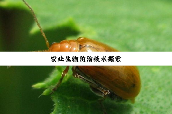 今日科普|农业生物防治技术探索