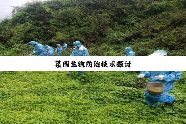 菜园生物防治技术探讨