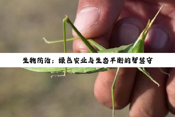 生物防治：绿色农业与生态平衡的智慧守护之道