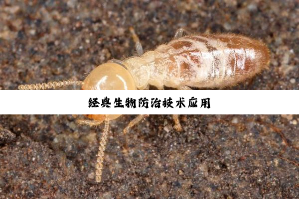 经典生物防治技术应用