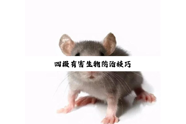 今日科普|四级有害生物防治技巧