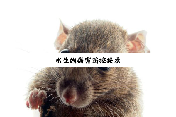 今日科普|水生物病害防控技术