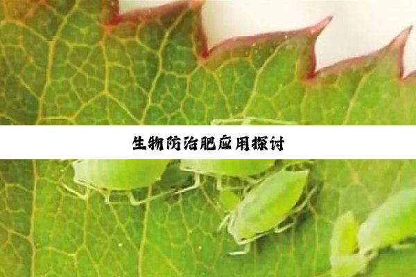 今日科普|生物防治肥应用探讨