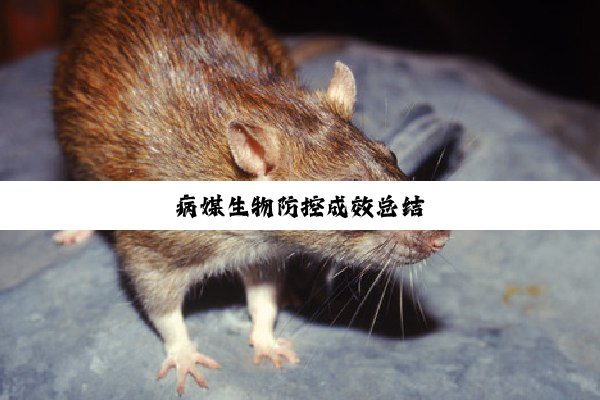 病媒生物防控成效总结