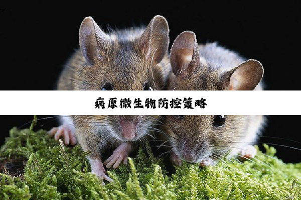 今日科普|病原微生物防控策略