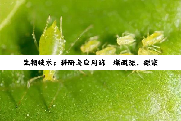 【科普解答】生物技术：科研与应用的璀璨明珠，探索无限可能的未来