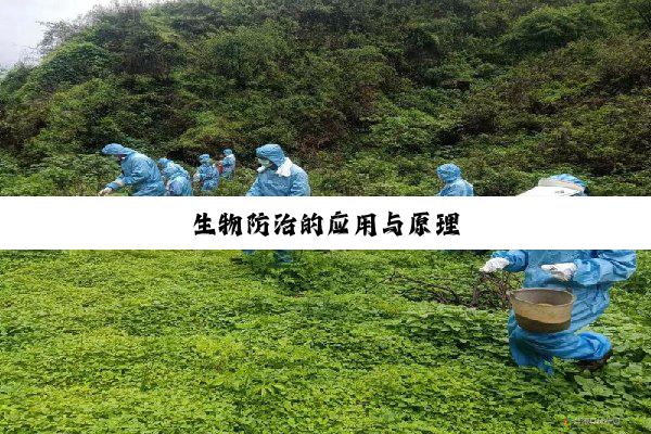 今日科普|生物防治的应用与原理