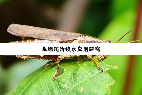 生物防治技术应用研究