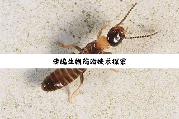 传统生物防治技术探索