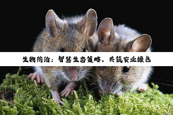 【科普解答】生物防治：智慧生态策略，共筑农业绿色发展未来