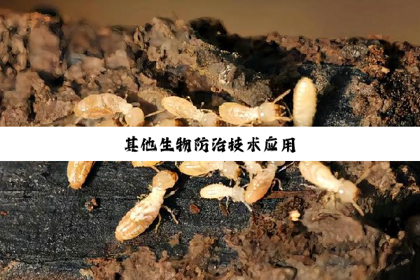今日科普|其他生物防治技术应用