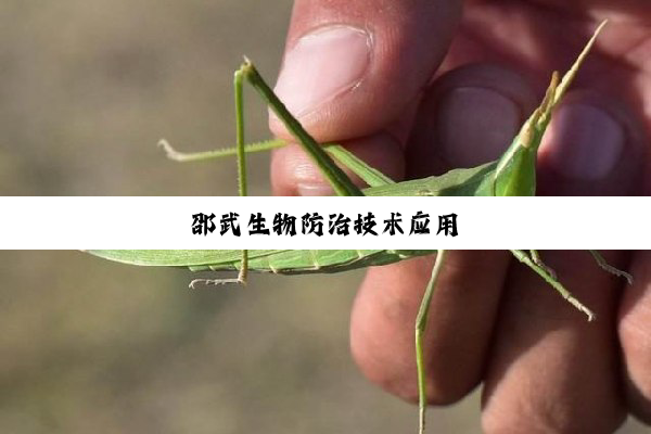 邵武生物防治技术应用