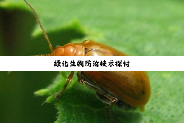 绿化生物防治技术探讨