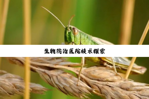 生物防治医院技术探索