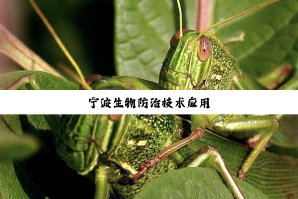 宁波生物防治技术应用