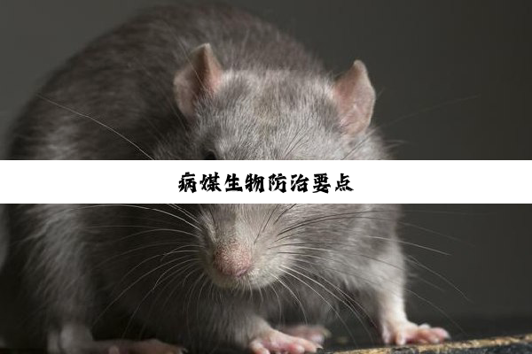病媒生物防治要点