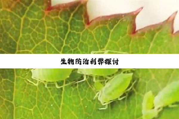 今日科普|生物防治利弊探讨