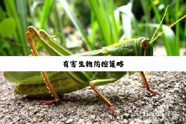 今日科普|有害生物防控策略