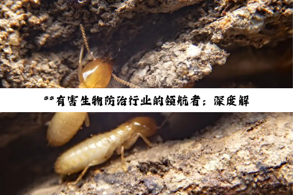 【科普解答】**有害生物防治行业的领航者：深度解析重庆康民及多家知名企业服务与市场定位**