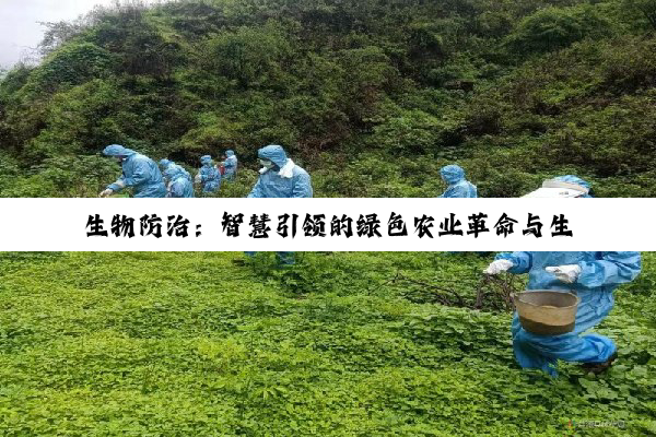 【科普解答】生物防治：智慧引领的绿色农业革命与生态守护