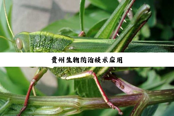 贵州生物防治技术应用