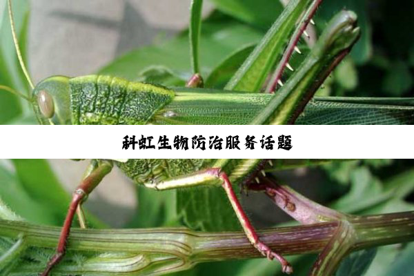 科虹生物防治服务话题