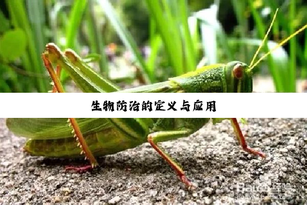 生物防治的定义与应用
