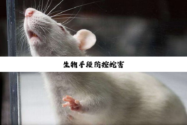 生物手段防控蛇害